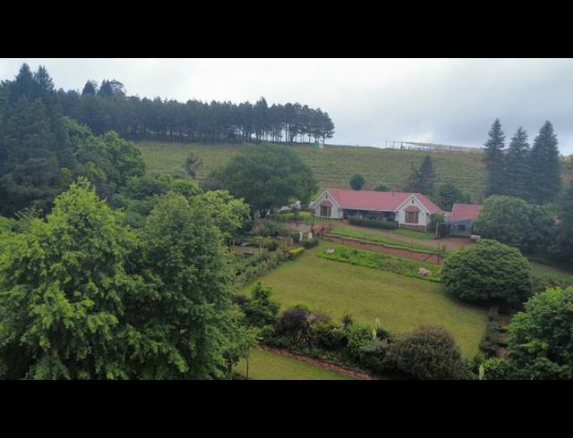 FARM FOR SALE IN TZANEEN RURAL